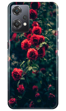 Red Rose Mobile Back Case for OnePlus Nord CE 2 Lite 5G (Design - 66)