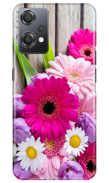 Coloful Daisy2 Mobile Back Case for OnePlus Nord CE 2 Lite 5G (Design - 76)