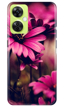 Purple Daisy Case for OnePlus Nord CE 3 Lite 5G