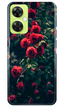 Red Rose Mobile Back Case for OnePlus Nord CE 3 Lite 5G (Design - 66)