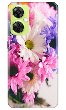 Coloful Daisy Mobile Back Case for OnePlus Nord CE 3 Lite 5G (Design - 73)