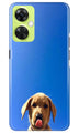Dog Mobile Back Case for OnePlus Nord CE 3 Lite 5G (Design - 294)