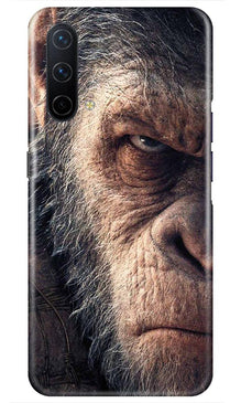 Angry Ape Mobile Back Case for OnePlus Nord CE 5G (Design - 316)