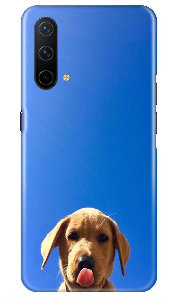Dog Mobile Back Case for OnePlus Nord CE 5G (Design - 332)