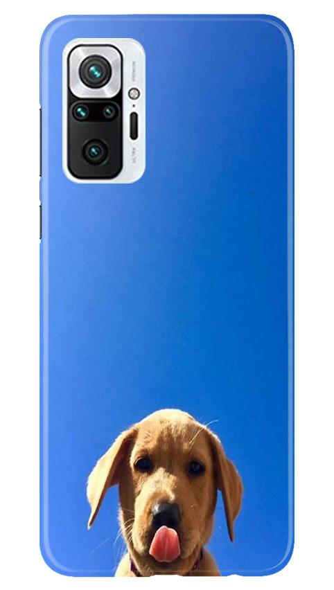 Dog Mobile Back Case for Redmi Note 10 Pro (Design - 332)