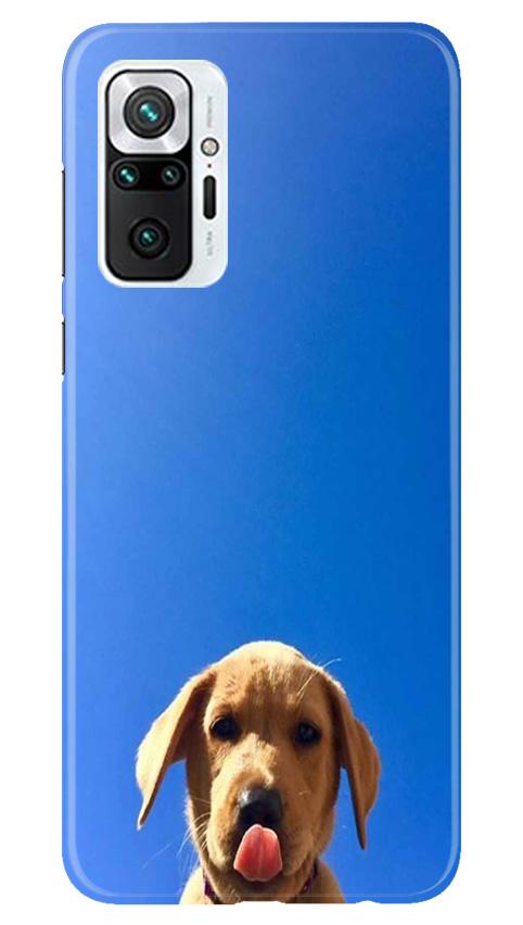Dog Mobile Back Case for Redmi Note 10 Pro Max (Design - 332)