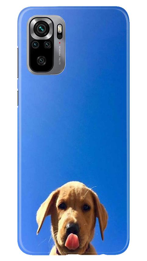 Dog Mobile Back Case for Redmi Note 10S (Design - 332)