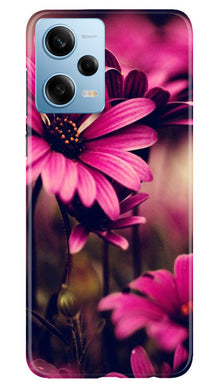 Purple Daisy Mobile Back Case for Redmi Note 12 5G (Design - 65)