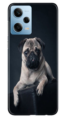 little Puppy Mobile Back Case for Redmi Note 12 5G (Design - 68)