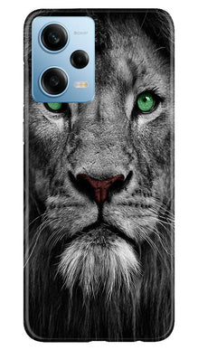 Lion Mobile Back Case for Redmi Note 12 5G (Design - 241)