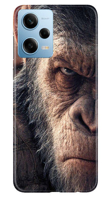 Angry Ape Mobile Back Case for Redmi Note 12 Pro 5G (Design - 278)