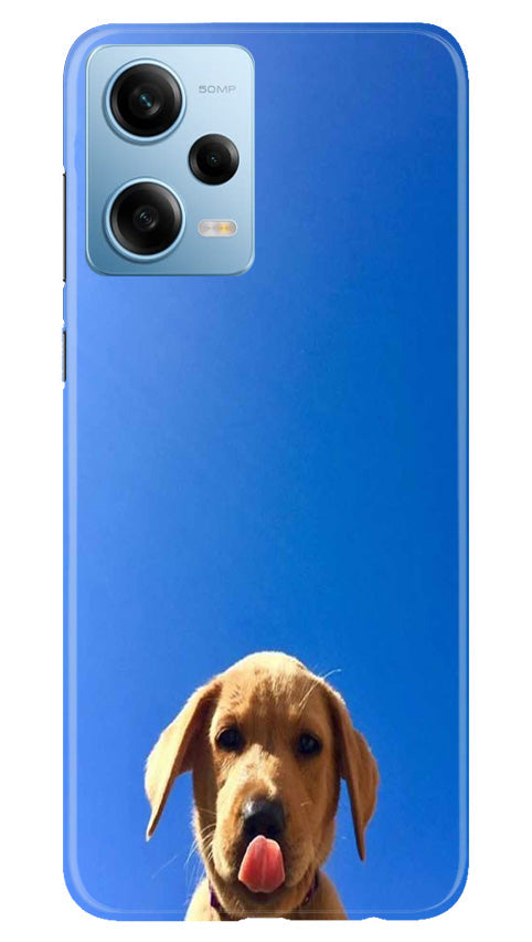 Dog Mobile Back Case for Redmi Note 12 5G (Design - 294)