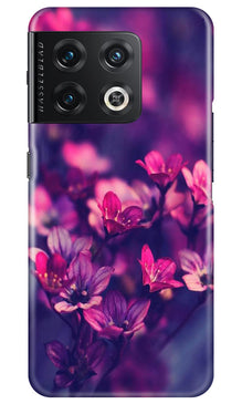 flowers Mobile Back Case for OnePlus 10 Pro 5G (Design - 25)