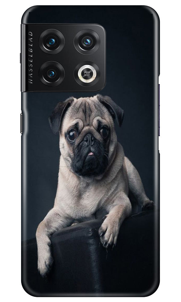 little Puppy Case for OnePlus 10 Pro 5G