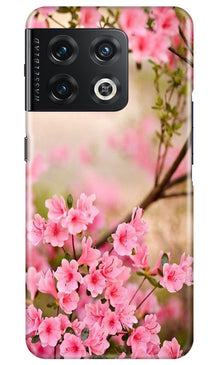 Pink flowers Mobile Back Case for OnePlus 10 Pro 5G (Design - 69)