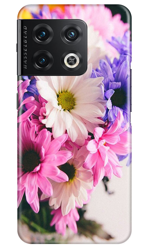 Coloful Daisy Case for OnePlus 10 Pro 5G