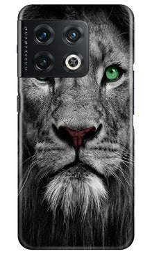 Lion Mobile Back Case for OnePlus 10 Pro 5G (Design - 241)