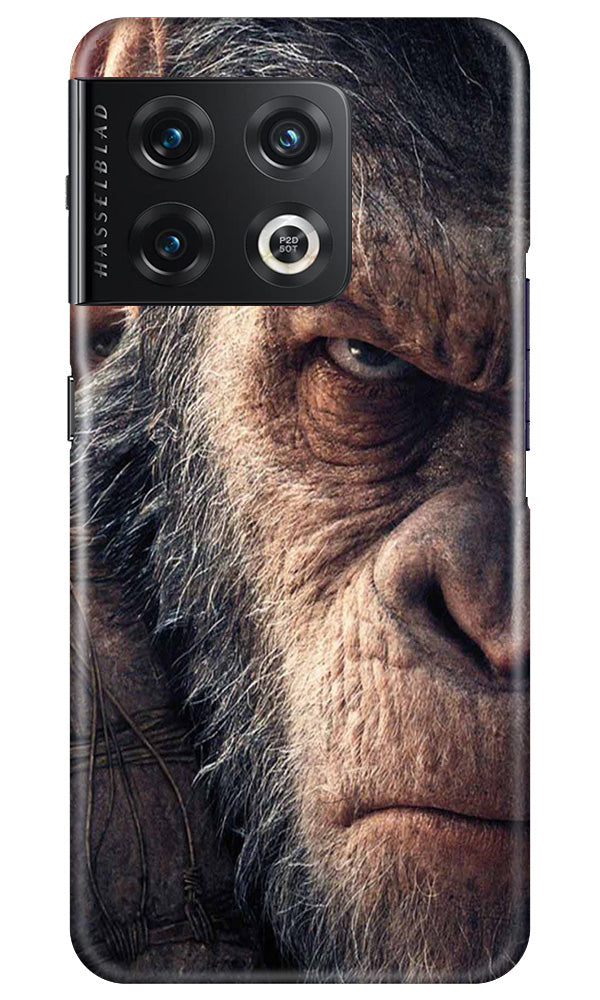 Angry Ape Mobile Back Case for OnePlus 10 Pro 5G (Design - 278)
