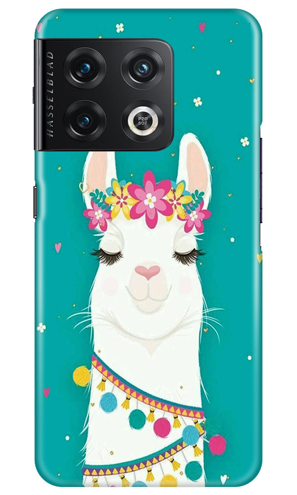 Camel Mobile Back Case for OnePlus 10 Pro 5G (Design - 293)