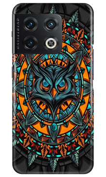 Owl Mobile Back Case for OnePlus 10 Pro 5G (Design - 319)