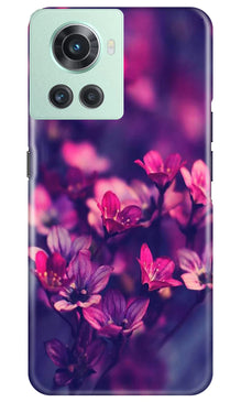 flowers Mobile Back Case for OnePlus 10R 5G (Design - 25)