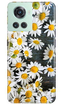 White flowers2 Mobile Back Case for OnePlus 10R 5G (Design - 62)