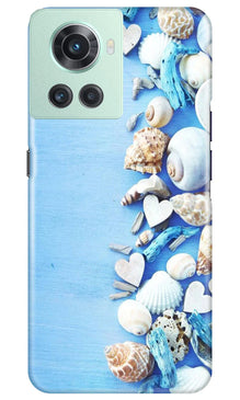 Sea Shells2 Mobile Back Case for OnePlus 10R 5G (Design - 64)