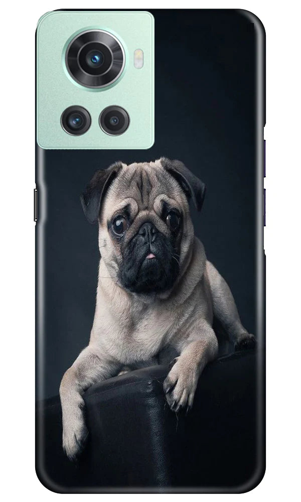 little Puppy Case for OnePlus 10R 5G