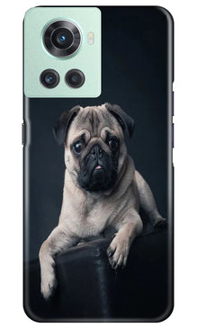 little Puppy Mobile Back Case for OnePlus 10R 5G (Design - 68)