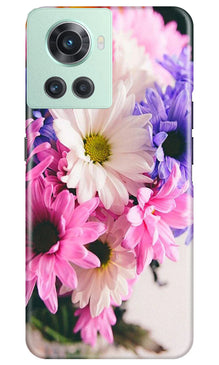 Coloful Daisy Mobile Back Case for OnePlus 10R 5G (Design - 73)