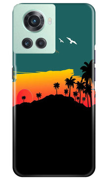 Sky Trees Mobile Back Case for OnePlus 10R 5G (Design - 160)