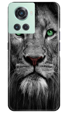 Lion Mobile Back Case for OnePlus 10R 5G (Design - 241)