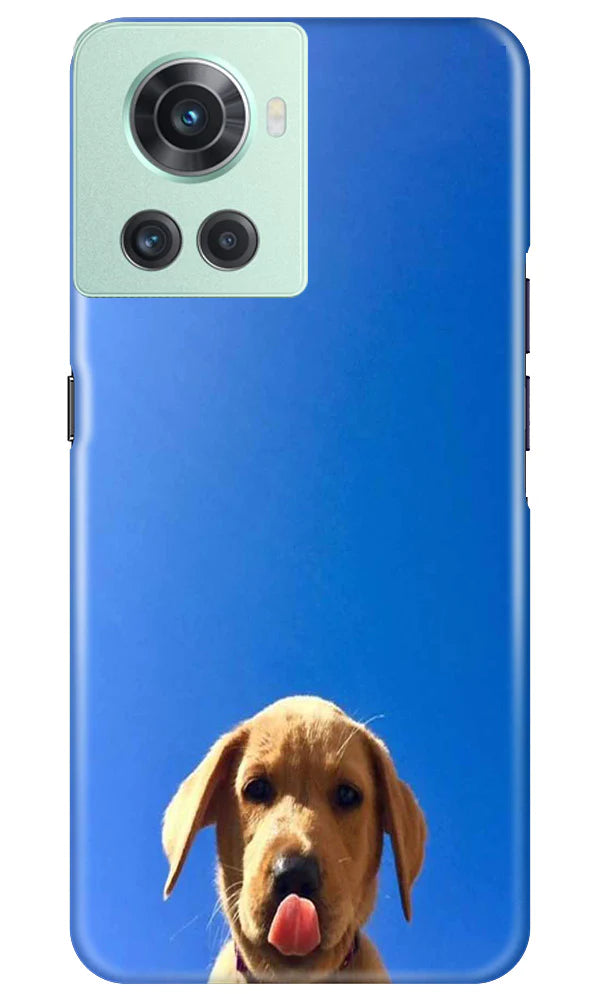 Dog Mobile Back Case for OnePlus 10R 5G (Design - 294)
