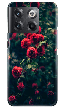 Red Rose Mobile Back Case for OnePlus 10T 5G (Design - 66)
