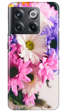 Coloful Daisy Case for OnePlus 10T 5G