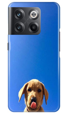 Dog Mobile Back Case for OnePlus 10T 5G (Design - 294)