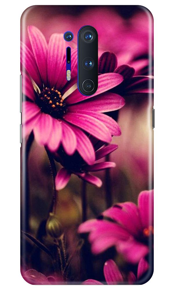 Purple Daisy Case for OnePlus 8 Pro