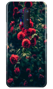 Red Rose Mobile Back Case for OnePlus 8 Pro (Design - 66)