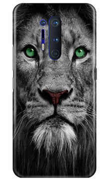 Lion Mobile Back Case for OnePlus 8 Pro (Design - 272)