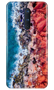 Sea Shore Mobile Back Case for OnePlus 8 Pro (Design - 273)