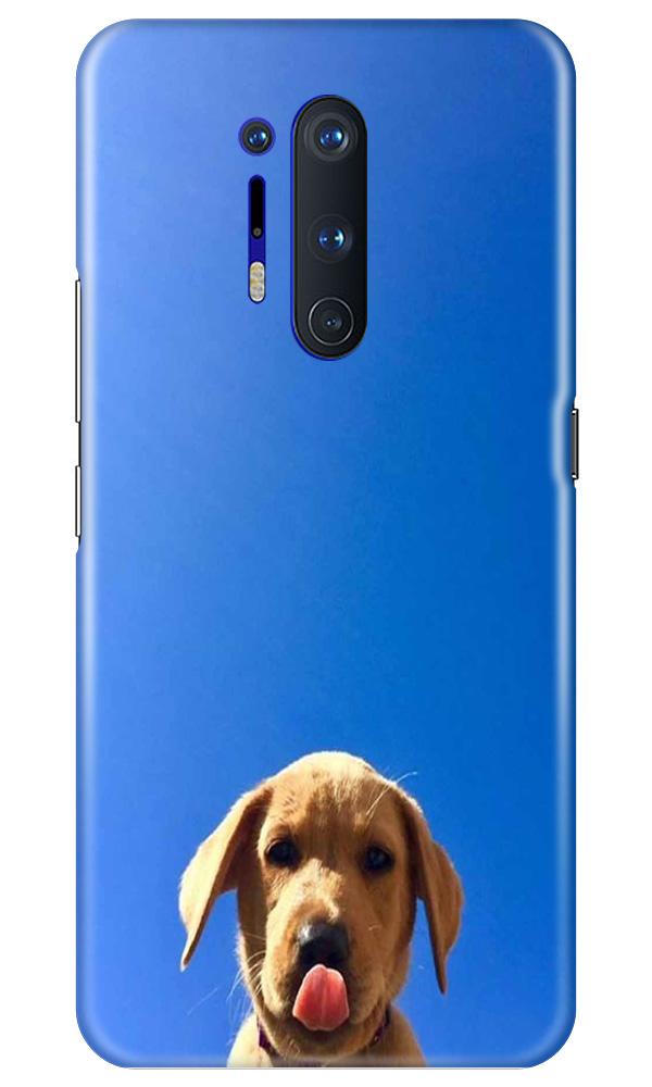 Dog Mobile Back Case for OnePlus 8 Pro (Design - 332)