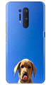 Dog Mobile Back Case for OnePlus 8 Pro (Design - 332)