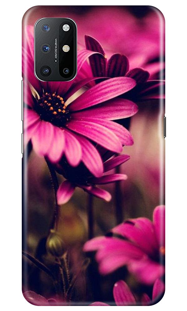 Purple Daisy Case for OnePlus 8T