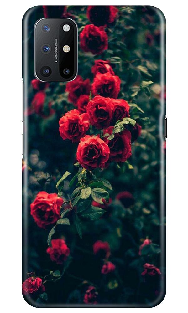 Red Rose Case for OnePlus 8T