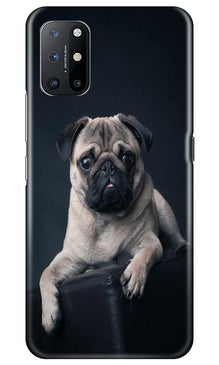 little Puppy Mobile Back Case for OnePlus 8T (Design - 68)