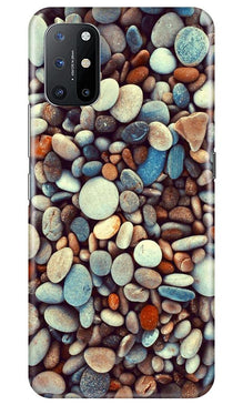 Pebbles Mobile Back Case for OnePlus 8T (Design - 205)