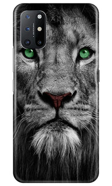 Lion Mobile Back Case for OnePlus 8T (Design - 272)