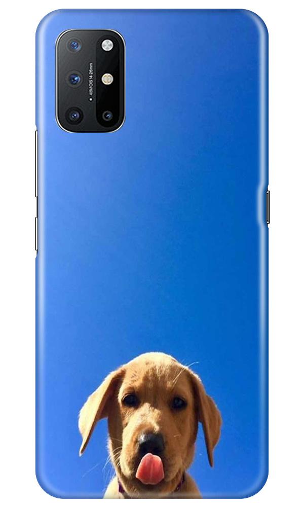 Dog Mobile Back Case for OnePlus 8T (Design - 332)