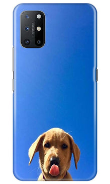 Dog Mobile Back Case for OnePlus 8T (Design - 332)