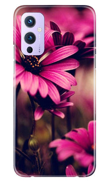 Purple Daisy Mobile Back Case for OnePlus 9 (Design - 65)
